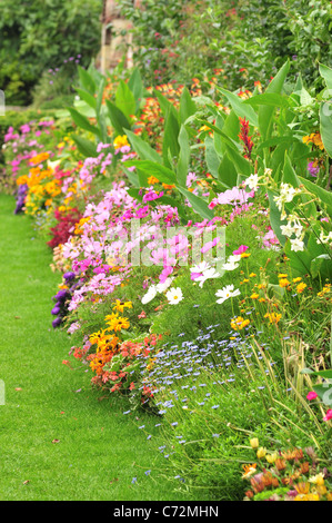 Gemischten Blumen, Southover Grange Gärten in Lewes, East Sussex, England Stockfoto