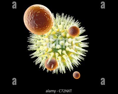 Virus versus Immunsystem. Stockfoto