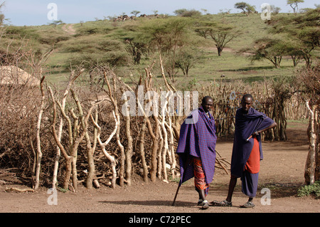 Afrika. Tansania. Am 5. März 2009. Massai-Dorf. Ein Doppelporträt Maasai-Männer. Savanne. Stockfoto