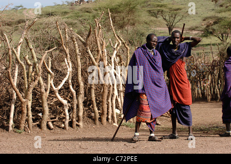 Afrika. Tansania. Am 5. März 2009. Massai-Dorf. Ein Doppelporträt Maasai-Männer. Savanne. Stockfoto