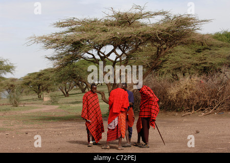 Afrika. Tansania. Am 5. März 2009. Massai-Dorf. Eine Gruppe Massai-Männer. Savanne. Eine strahlende Sonne. Stockfoto