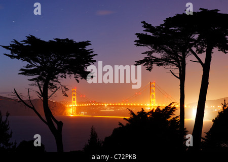 Golden Gate Bridge, umrahmt von Bäumen von Lincoln Park, Golden Gate National Recreation Area, San Francisco, Kalifornien, USA Stockfoto