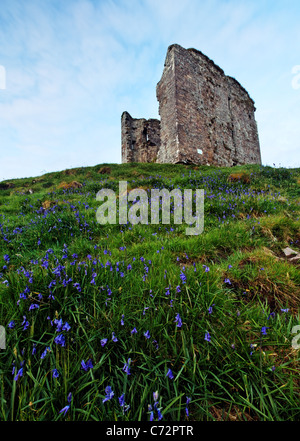 Minard Castle, Halbinsel Dingle, County Kerry, Irland Stockfoto
