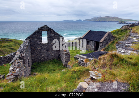 Verlassene Gebäude aus Stein in Bauern-Feld, Slea Head Drive, Halbinsel Dingle, County Kerry, Irland Stockfoto