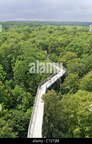 Baumwipfelpfad oder Baldachin erhöhten Weg Weg durch den Nationalpark Hainich, Thüringen, Deutschland, Europa Stockfoto