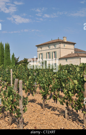 Chateau Lafleur-Petrus, Pomerol, Frankreich Stockfoto