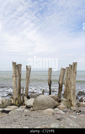 Skulptur aus Treibholz, Rügen Insel Mecklenburg-Western Pomerania, Deutschland, Europa Stockfoto