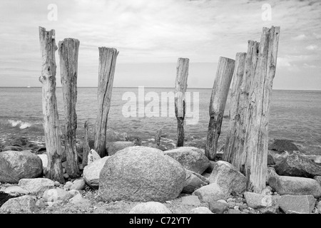 Skulptur aus Treibholz, Rügen, Mecklenburg-Western Pomerania, Deutschland, Europa Stockfoto