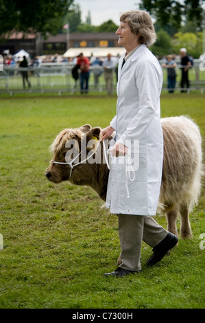 Die letzte Royal Show im Juli 2009 Stockfoto