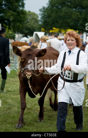 Zeigt Rinder auf der letzten Royal Show im Juli 2009 Stockfoto