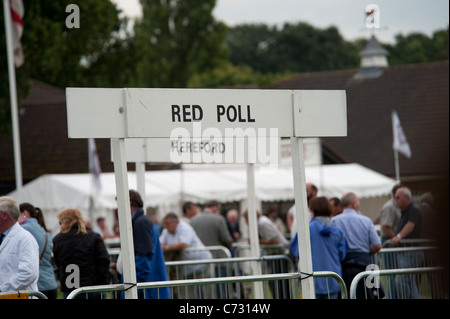 Die letzte Royal Show im Juli 2009 rot-Umfrage, Hereford Zeichen. Stockfoto