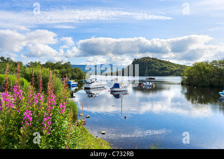 Boote vertäut auf das Loch im Aldochlay am westlichen Ufer des Loch Lomond, Argyll and Bute, Scotland, UK Stockfoto