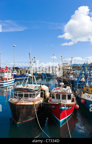 Fischerboote im Hafen von Mallaig, Lochabar, Highland, Schottland, UK Stockfoto