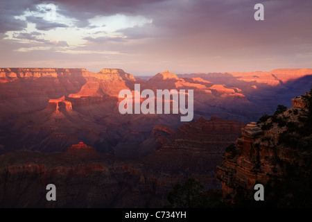 Die Abendsonne über dem Grand Canyon, Arizona, USA Stockfoto