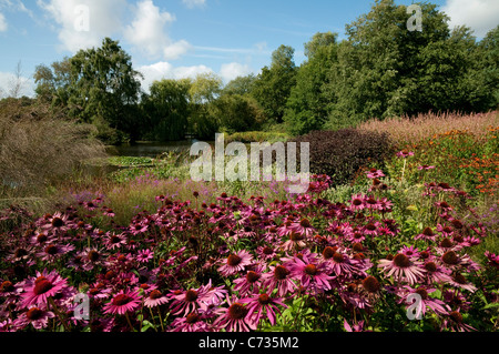 die Millennium-Garten, Pensthorpe, Norfolk, england Stockfoto