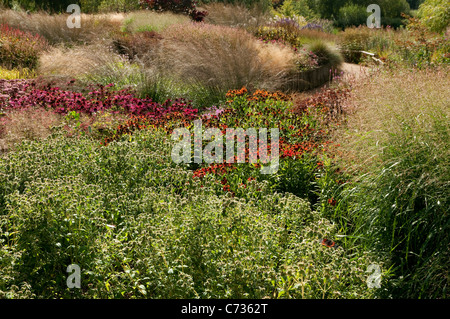 die Millennium-Garten, Pensthorpe, Norfolk, england Stockfoto