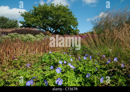 die Millennium-Garten, Pensthorpe, Norfolk, england Stockfoto