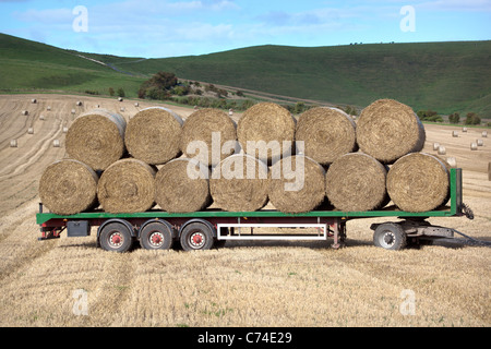 LKW beladen mit Rundballen oder Räder von Heu Stockfoto