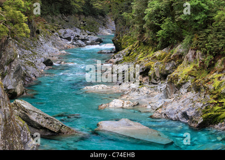 Das schöne blaue Wasser des Makarora River in der Nähe der blauen Pools in Haast Pass, Neuseeland Stockfoto