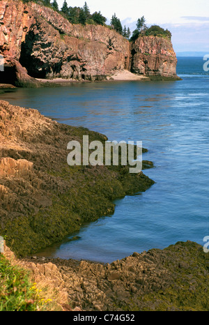 Cape d ' or, Nova Scotia, Kanada - Basaltfelsen und Meeresgrotten entlang Bucht von Fundy Küste am Minas Basin und Minas Kanal Stockfoto