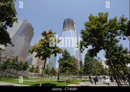 Der Platz rund um die Pools an das National September 11 Memorial in New York wurde mit Sumpf weißer Eiche Bäume gepflanzt. Stockfoto