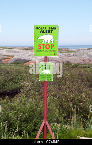 Ein Eisbär Warnzeichen in der Tundra in 'bear-Gasse" entlang der Küste der Hudson Bay in der Nähe von Churchill, Manitoba, Kanada. Stockfoto