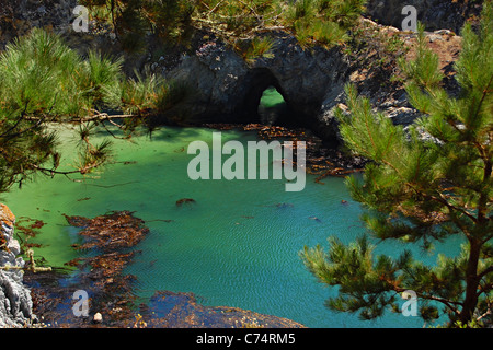 Bogen und Lagune, Point Lobos State Preserve, Kalifornien, USA Stockfoto