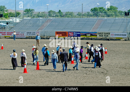 USA, California, Bischof 37. Mule Tage, Hindernis-Parcours, zu Fuß den Kurs 2006 Stockfoto