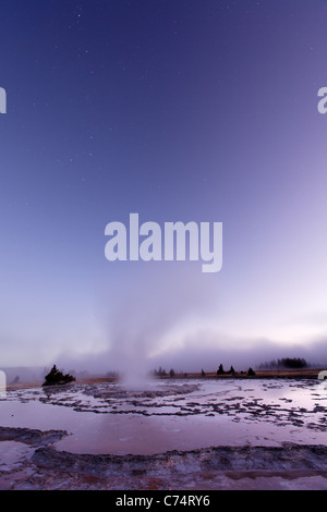 Dampf steigt von Great Fountain Geysir im frühen Morgengrauen Firehole Lake Drive, Yellowstone-Nationalpark, Wyoming, USA Stockfoto