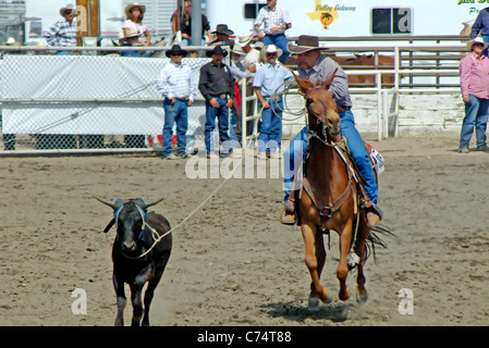 USA, California, Bischof 37. Mule Tage, Steuern absetzen, David Williams Reiten "BJ' 2006 Stockfoto