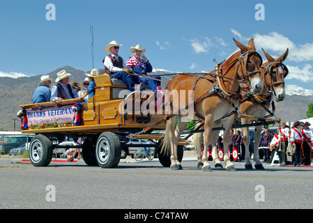 USA, California, Bischof 37. Mule Tage Parade, Maultier gezeichnet Fahrzeug, Team 2006 Stockfoto