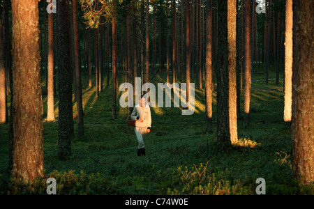 Sammeln von Pilzen. Das Mädchen geht auf einen Sonnenuntergang am Pinienwald und Pilze Stockfoto