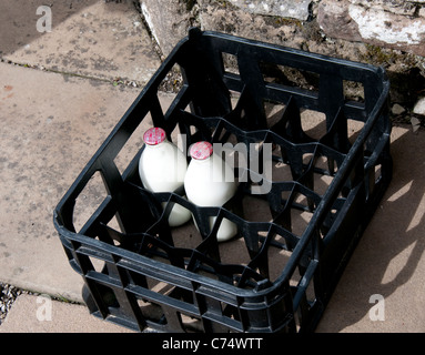 Eine Kiste halten zwei Pints rot Top Semi entrahmte Milchflaschen. Stockfoto