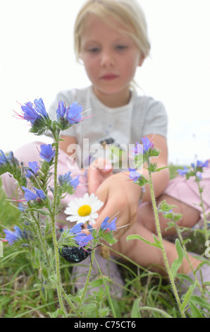 Kinder genießen Fotografieren von Bug und Tiere in einem Feld. Stockfoto