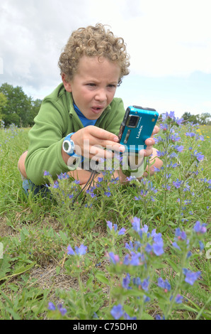 Kinder genießen Fotografieren von Bug und Tiere in einem Feld. Stockfoto