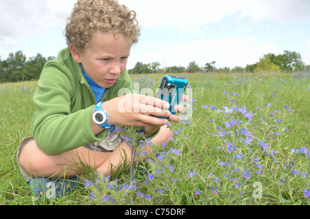 Kinder genießen Fotografieren von Bug und Tiere in einem Feld. Stockfoto