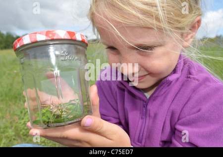 Mädchen fangen Insekten in einem Feld in Frankreich im Urlaub, Stockfoto