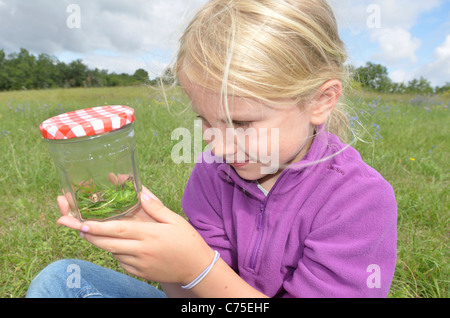 Mädchen fangen Insekten in einem Feld in Frankreich im Urlaub,, Stockfoto