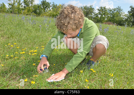 Kinder fangen Insekten in einem Feld in Frankreich im Urlaub, Stockfoto