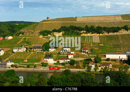Der Weinbau Gemeinde Wormeldingen mit Wormeldinger Koeppchen an der Mosel, Luxemburg Stockfoto