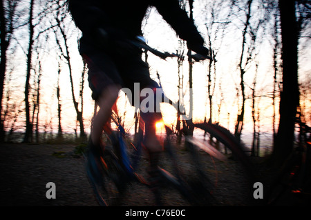 Mountainbiker in Bäumen bei Sonnenuntergang Stockfoto