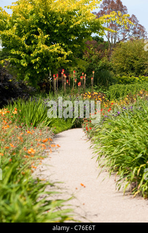 Die heißen Garten im Juni, RHS Rosemoor, Devon, England, Vereinigtes Königreich Stockfoto