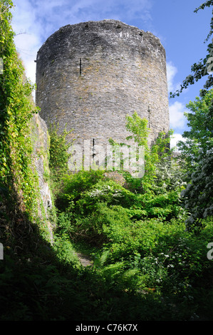 Der East Tower Cilgerran Burg im Dorf Cilgerran, Pembrokeshire, Wales Stockfoto