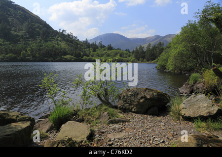 Eine Aussicht auf die Berge von Beara Halbinsel, Co Kerry, Rep of Ireland Glanmore Lake. Stockfoto