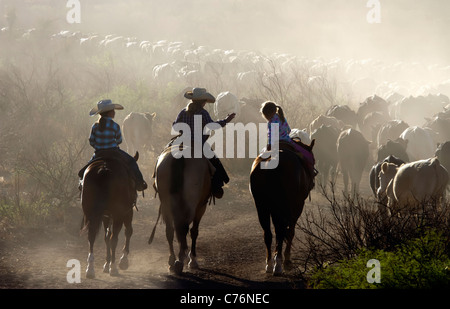 Junge Mädchen, die Teilnahme an einem Viehtrieb auf einer West-Texas-Ranch. Stockfoto