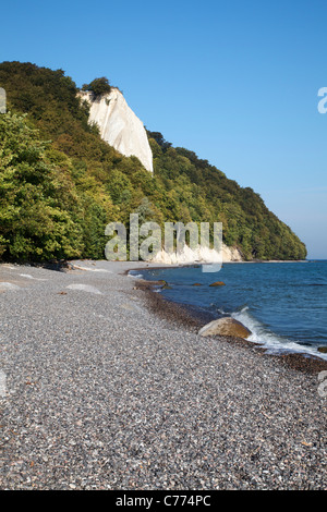 Blick Richtung Königsstuhl, Kreidefelsen, Nationalpark Jasmund, Rügen, Mecklenburg-Vorpommern, Deutschland Stockfoto