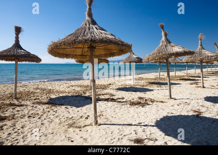 Leerer Strand mit strohgedeckten Sonnenschirmen, Mallorca, Balearen, Spanien Stockfoto