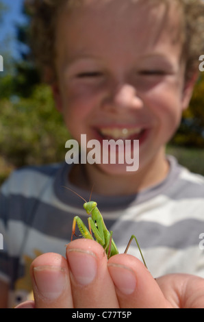 Kinder findet eine Gottesanbeterin im Garten Stockfoto