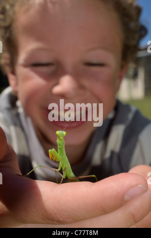 Junge findet eine Gottesanbeterin im Garten Stockfoto