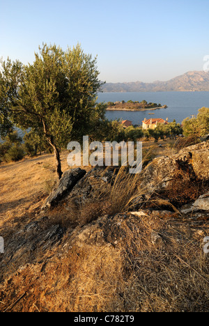 BAFA Goelue, See Bafa, Camici Goelue mit Kapıkırı Insel, Provinz Muğla, Aydın, südliche Ägäis-Küste, Europa, Mittlerer Osten, Asien Stockfoto